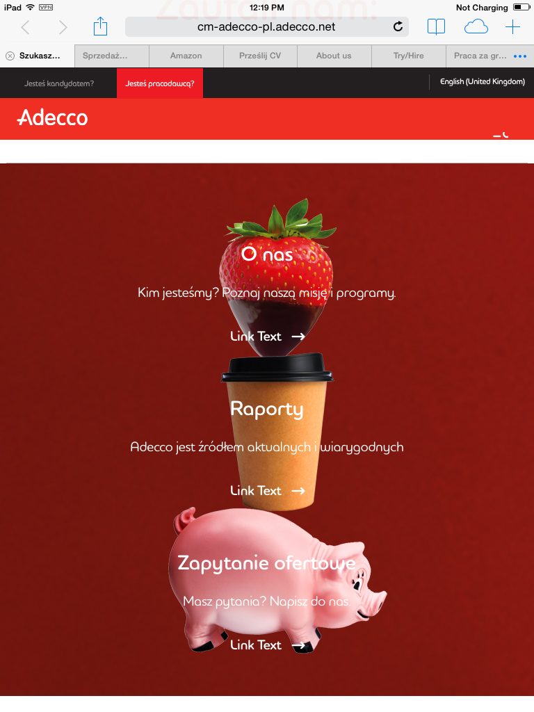 Image and text are getting overlapped