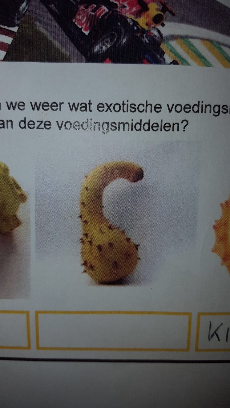 file.jpg