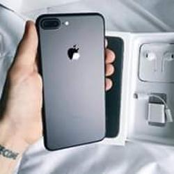 491195_big.jpg