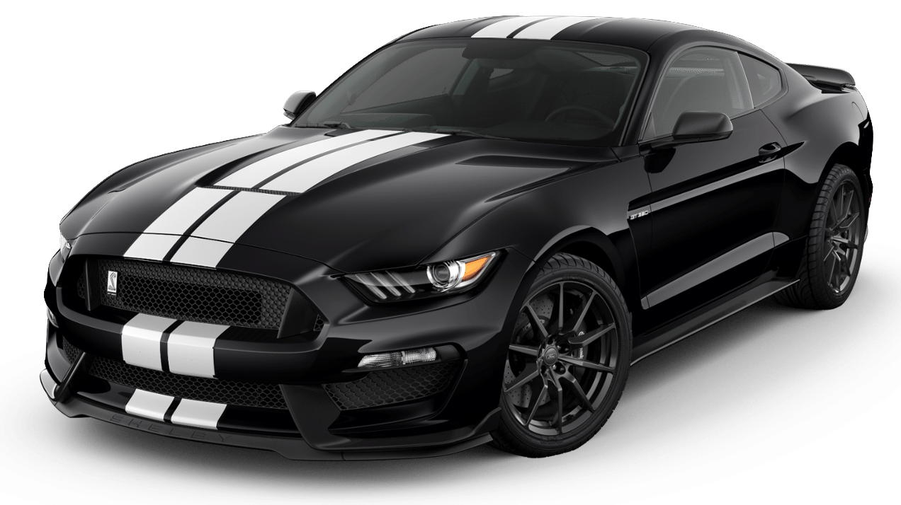 mustang