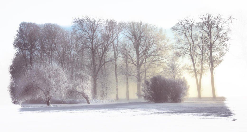 garden_of_winther_by_edsh-d543p2y.jpg