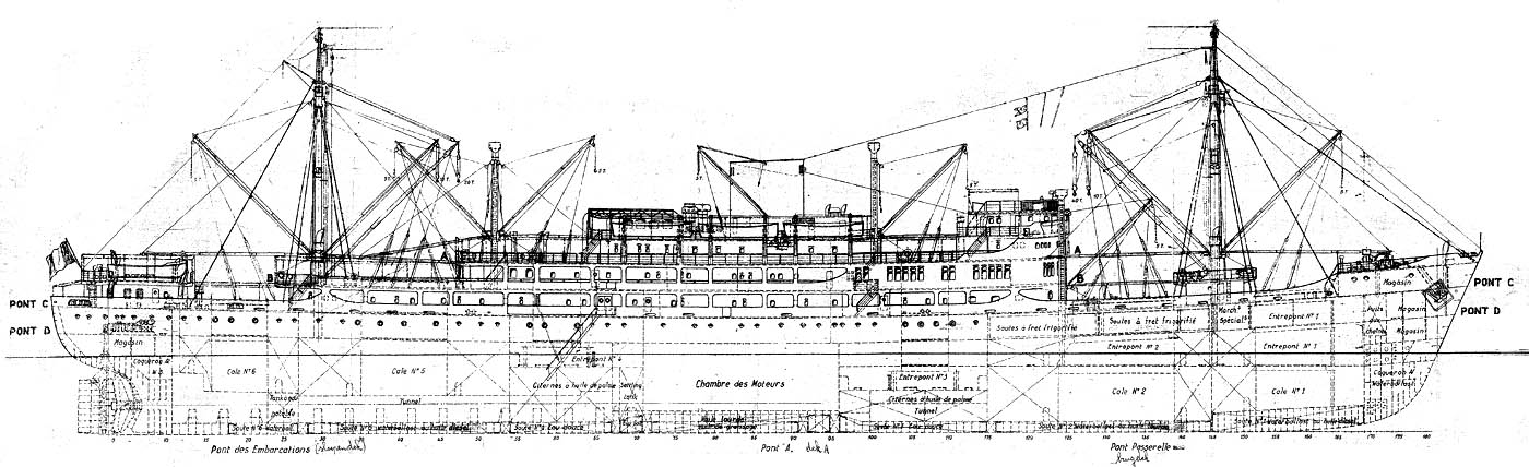 Charlesville-A-Deck-Plan-0.jpg