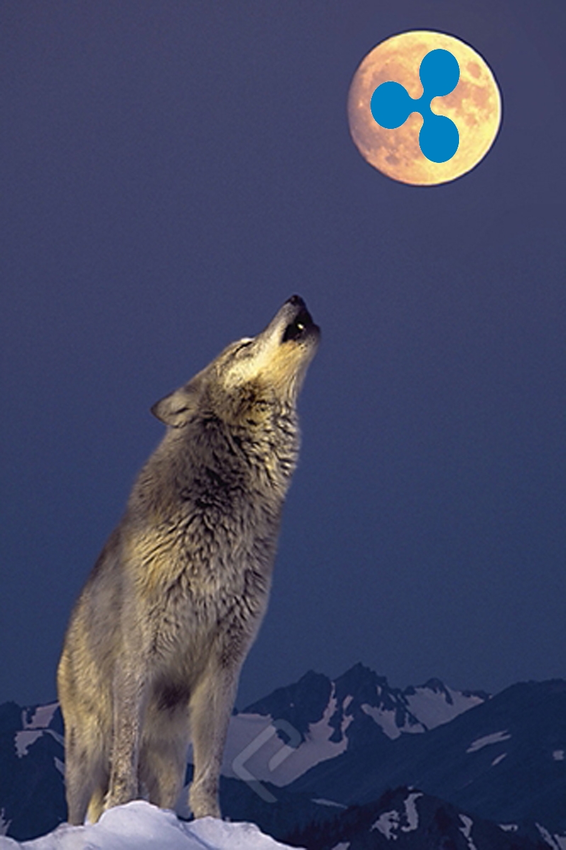 RippleMoon