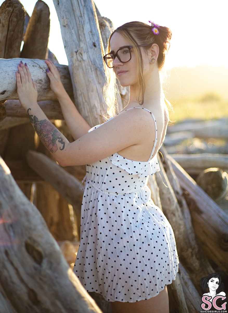 silvery-shipwrecked-01.jpg