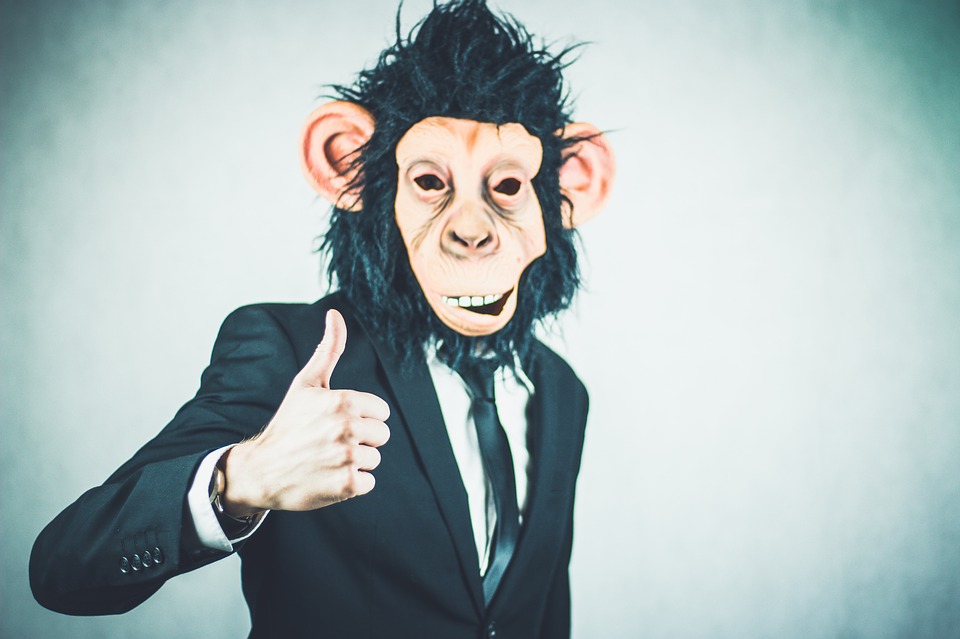 Monkey Patreon