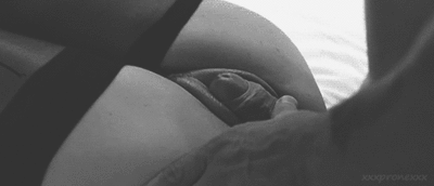 cockrub1.gif