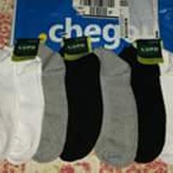 496101_big.jpg