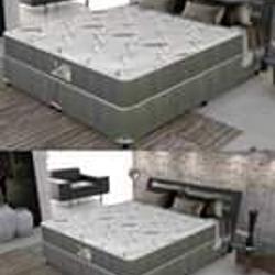 497230_big.jpg
