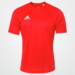 499028_big.jpg