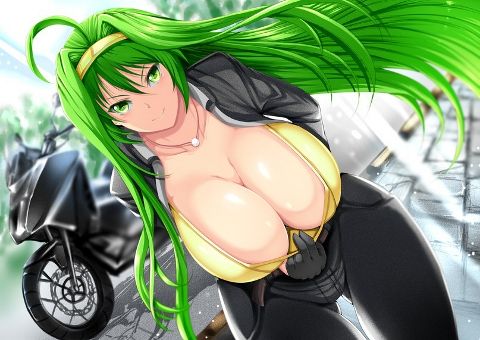 RIS.jpg