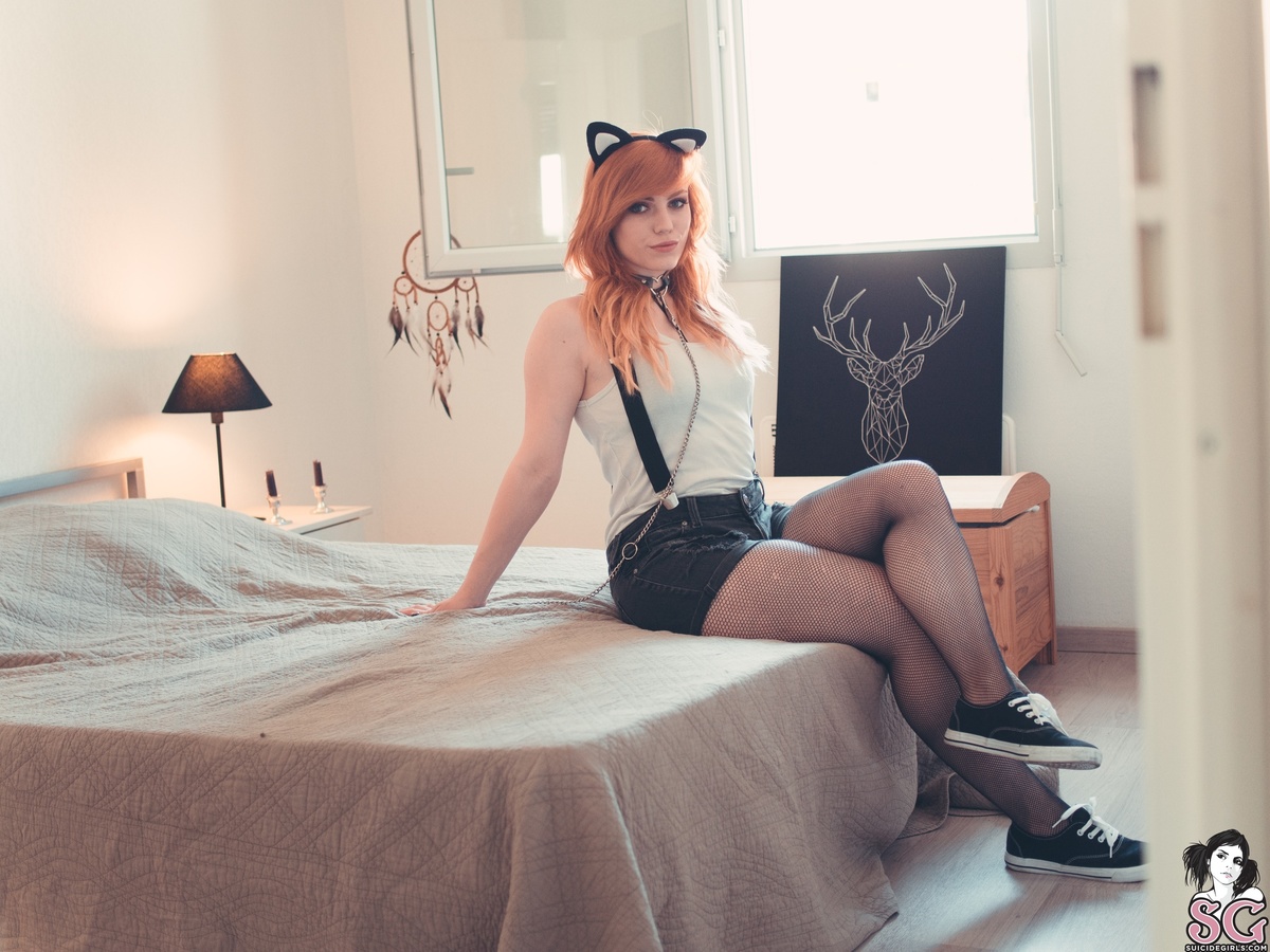 lovia-chatonapprivoise-01.jpg