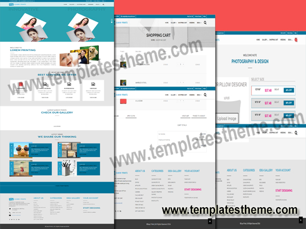 Professional Web Templates