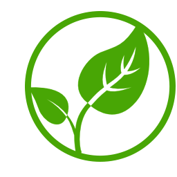 budding-leaves2562.png