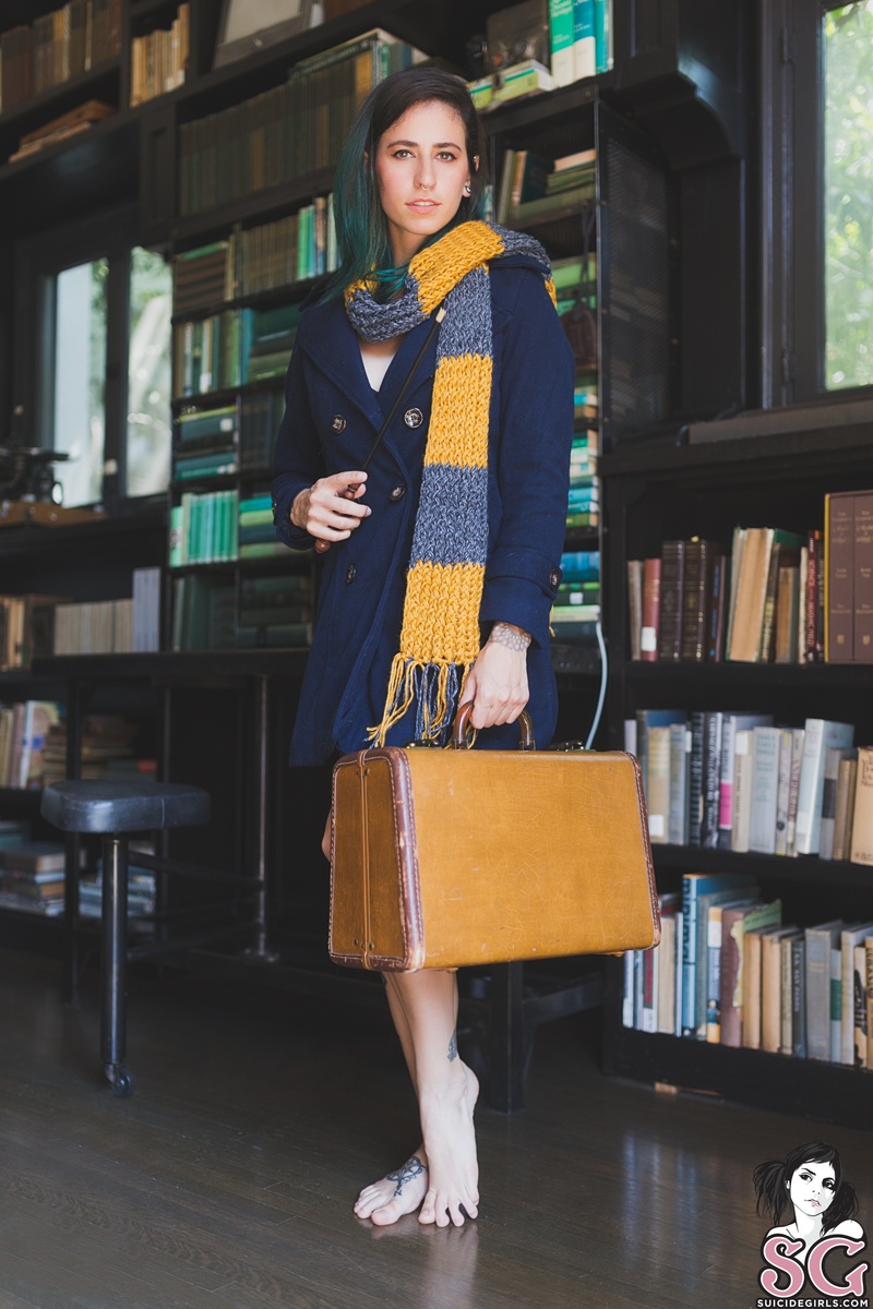 nebula-fantasticbeasts-01.jpg