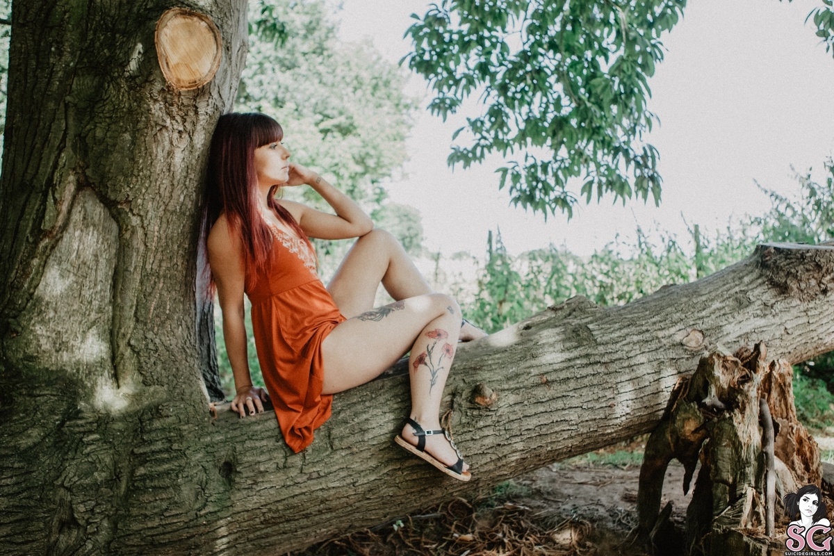 jupiter-amazone-01.jpg