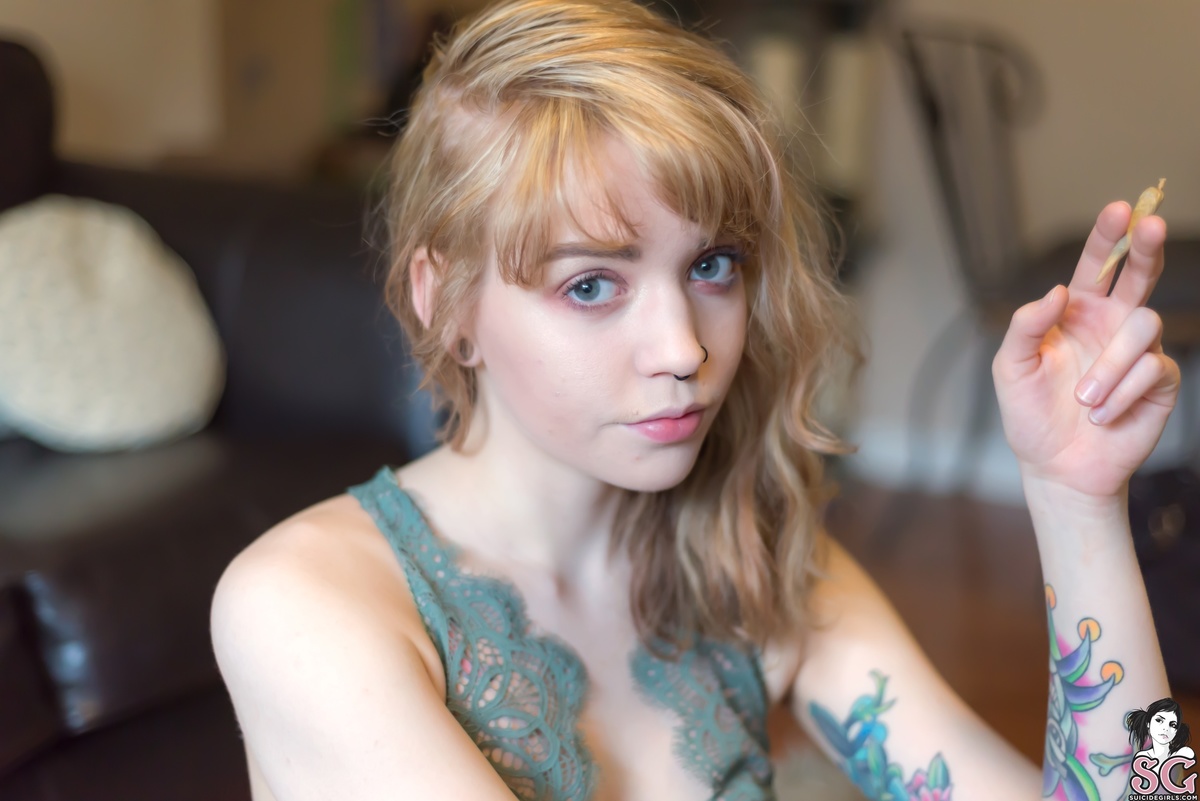 canary-matchme-05.jpg