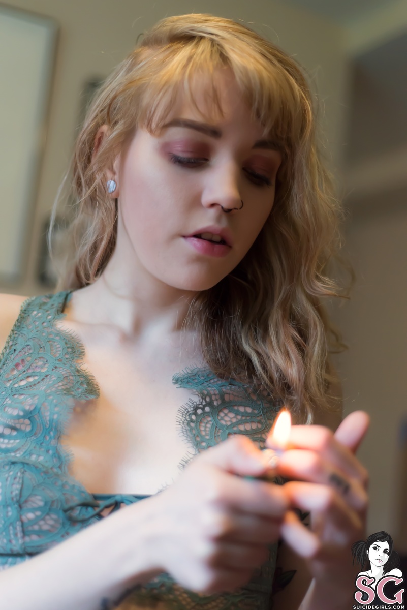canary-matchme-07.jpg