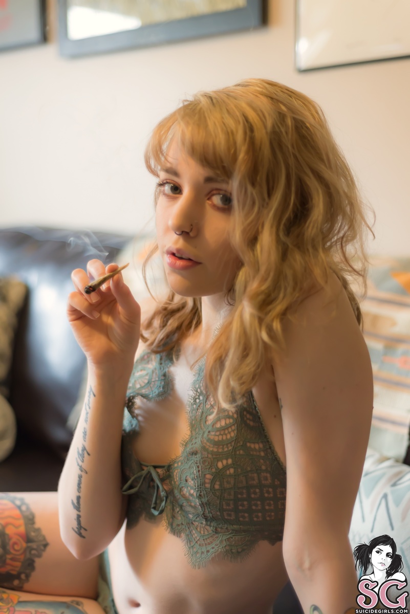 canary-matchme-13.jpg