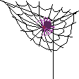 Web
