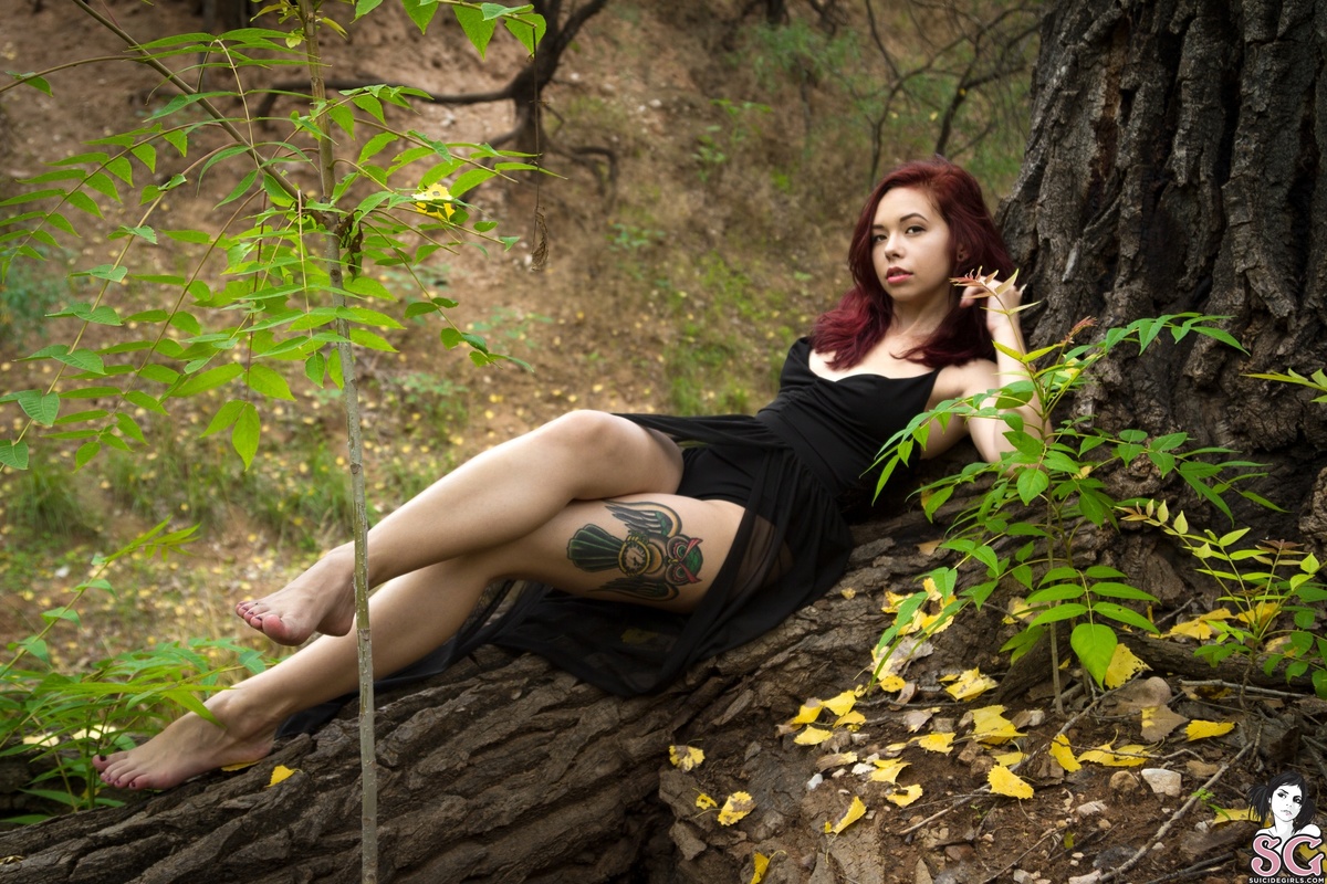 vervain-hocuspocus-15.jpg