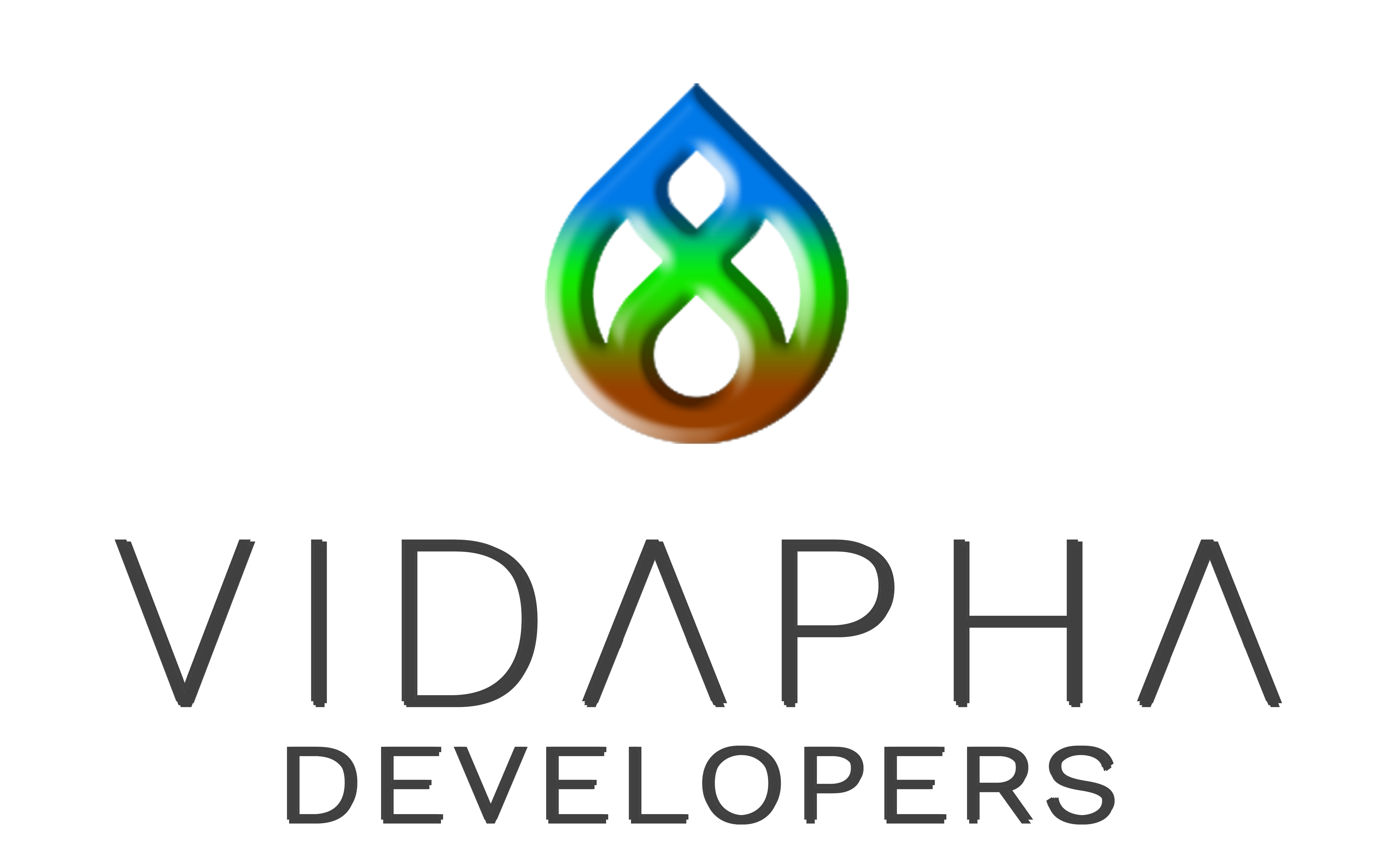 VIDAPHA DEVELOPERS logo uploaded