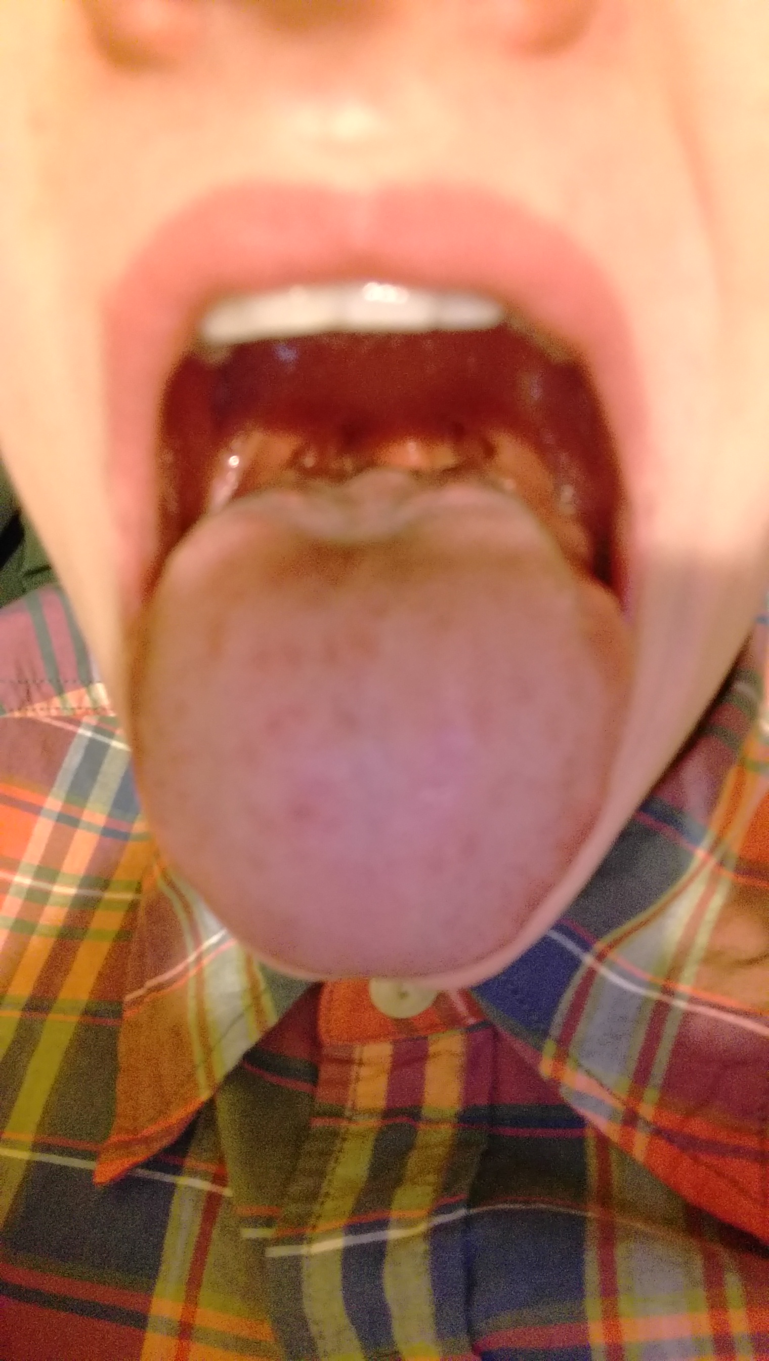 1516825468668-1845025071.jpg