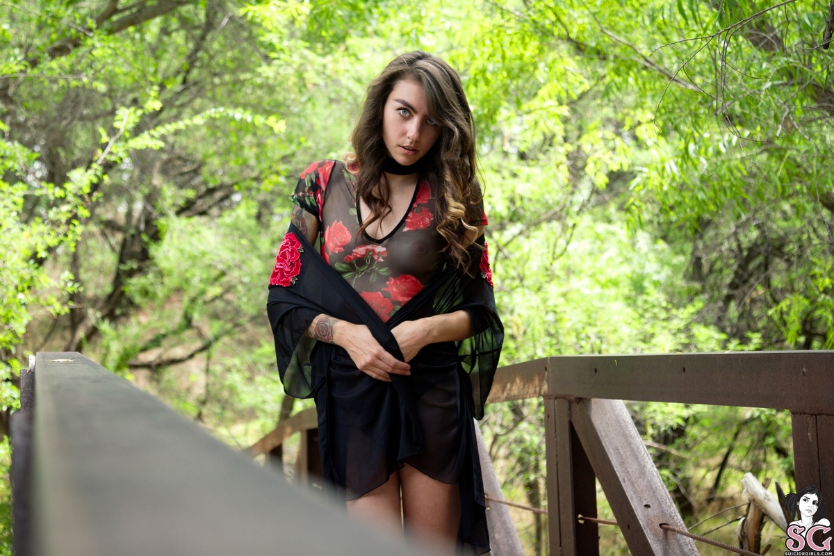 somer-littlebrierrose-03.jpg
