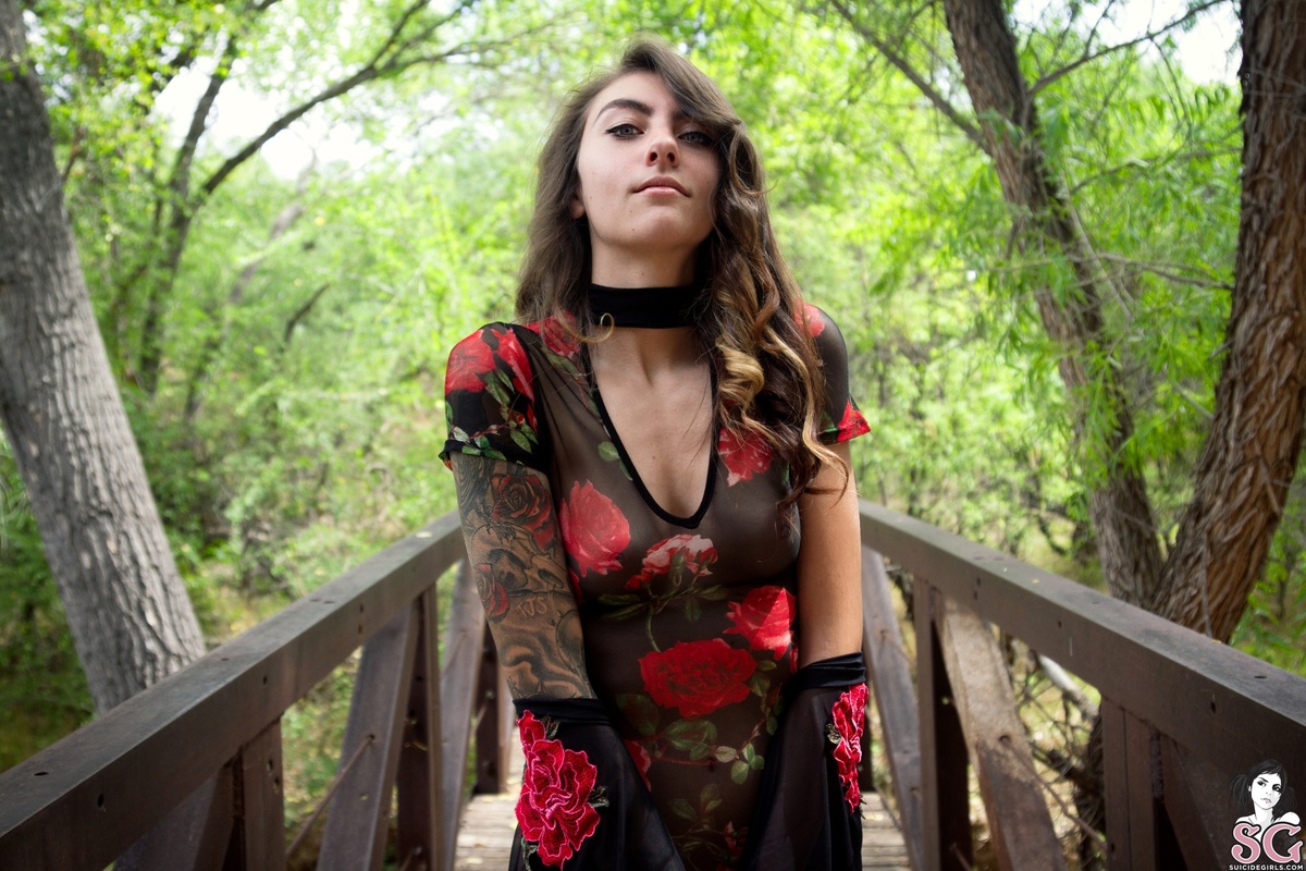 somer-littlebrierrose-05.jpg