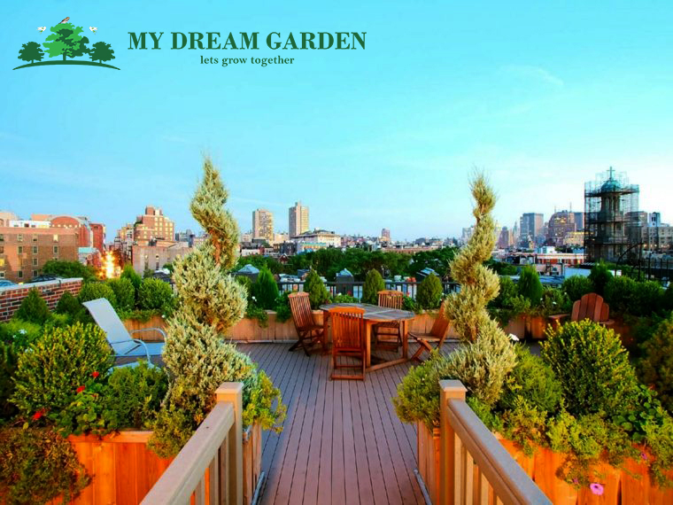 Grow Where You Live – Mydreamgarden.in