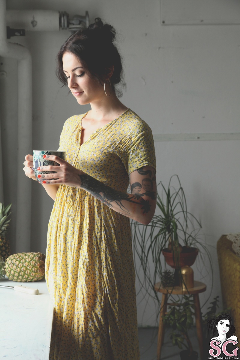 vane-morningflower-01.jpg