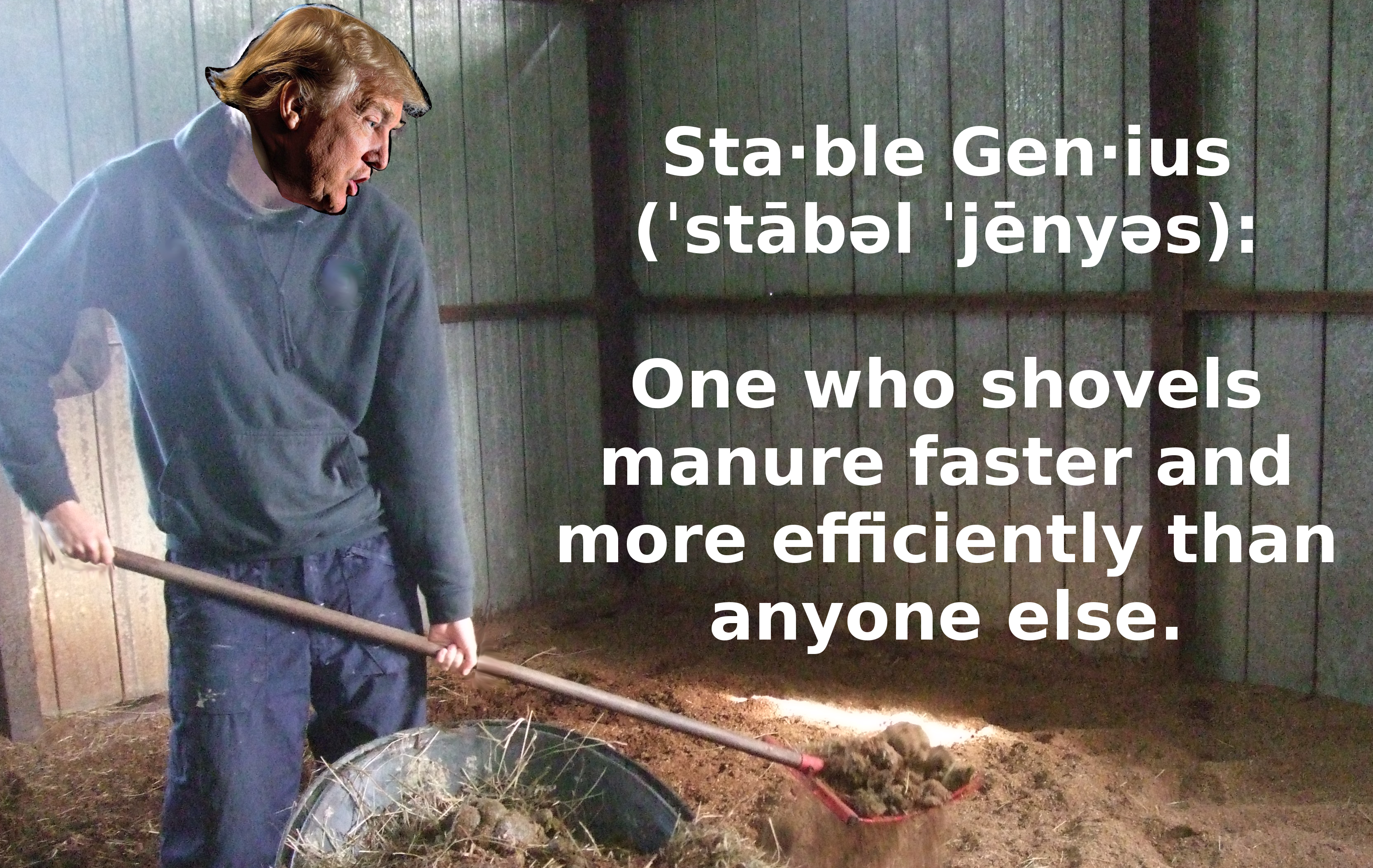 Stable Genius definition
