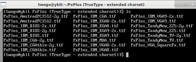 IBM_VGA8