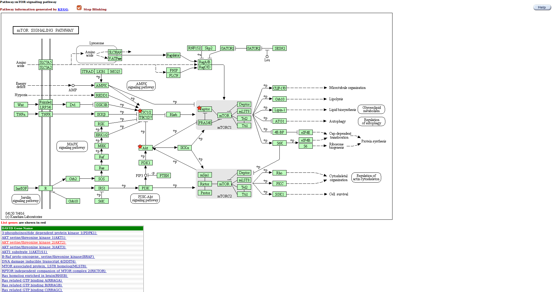 FireShotCapture001-Pathway_-https___david.ncifcrf.gov_kegg.jsp.png