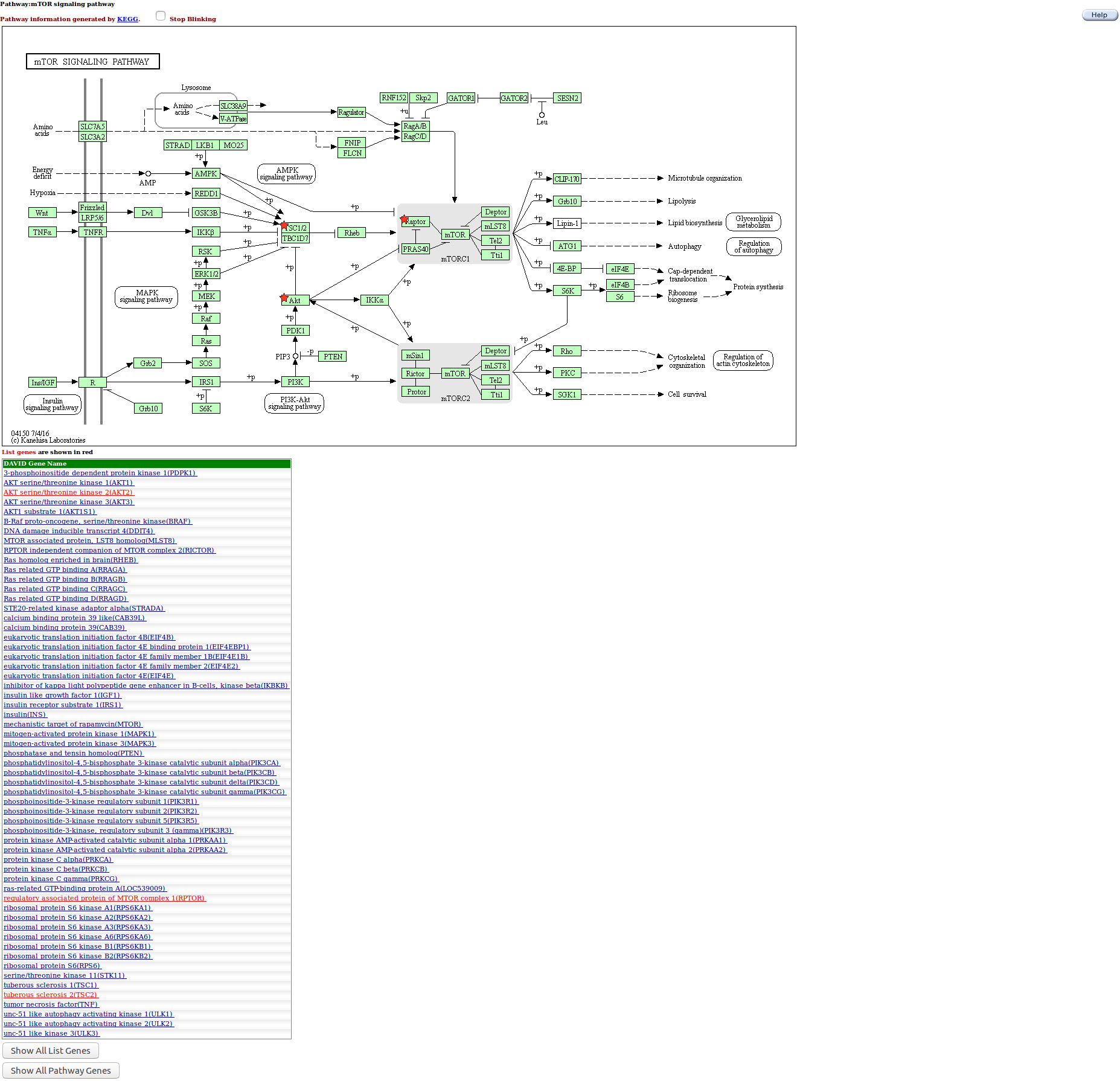 FireShotCapture001-Pathway_-https___david.ncifcrf.gov_kegg.jsp.png
