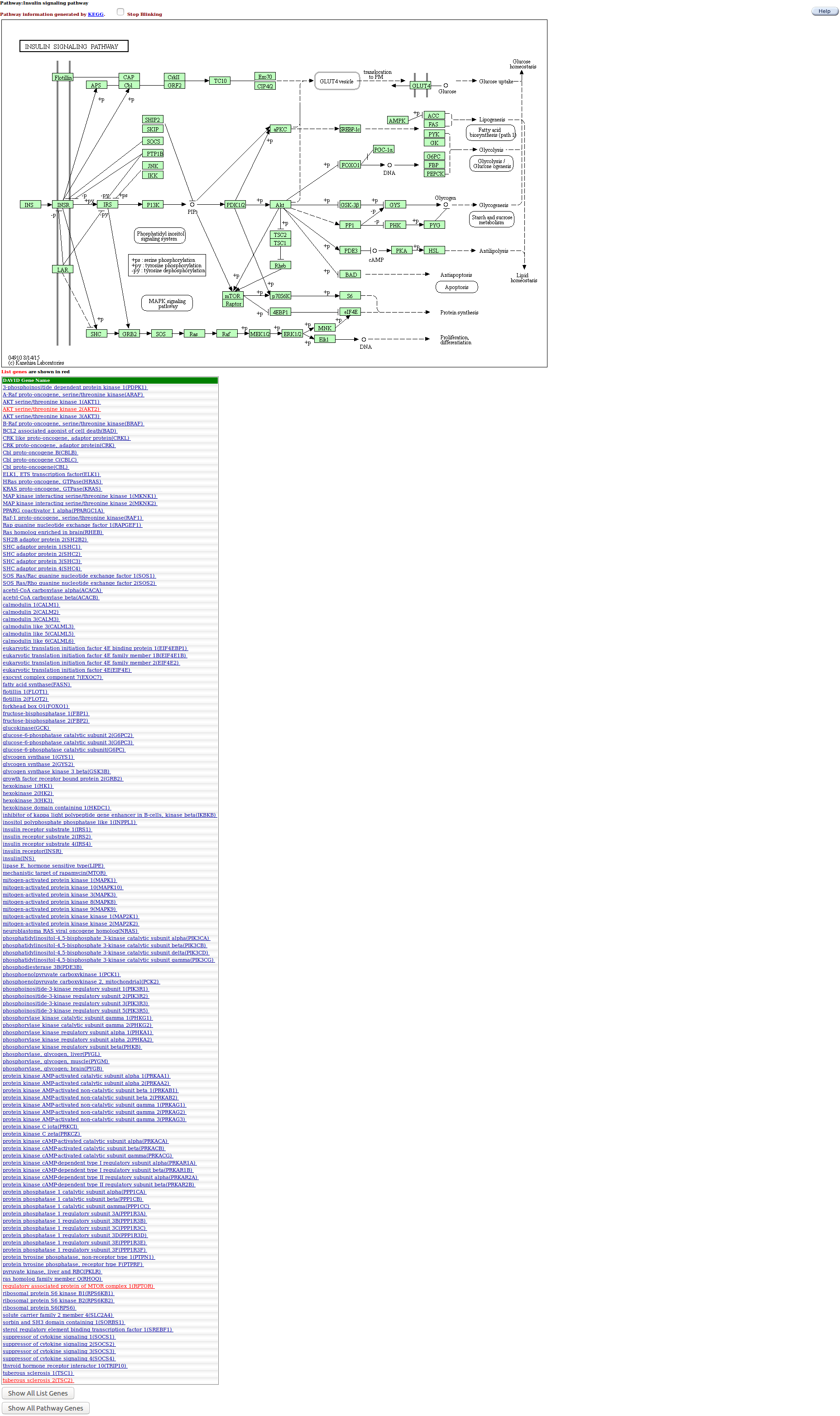 FireShotCapture005-Pathway_-https___david.ncifcrf.gov_kegg.jsp.png