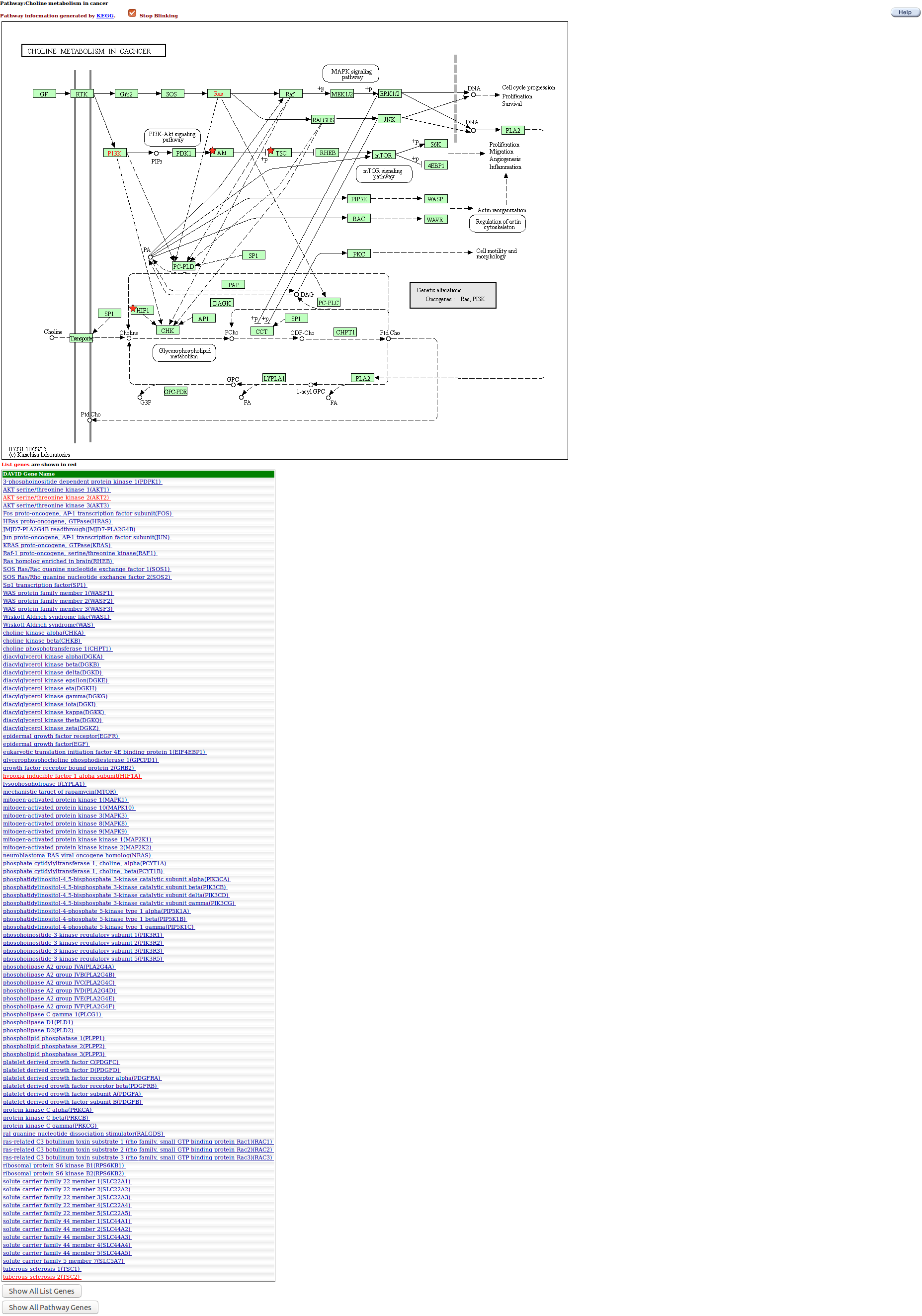 FireShotCapture009-Pathway_-https___david.ncifcrf.gov_kegg.jsp.png
