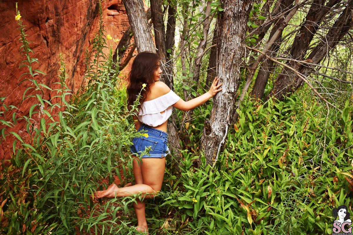 humanbeandee-latesummer-03.jpg