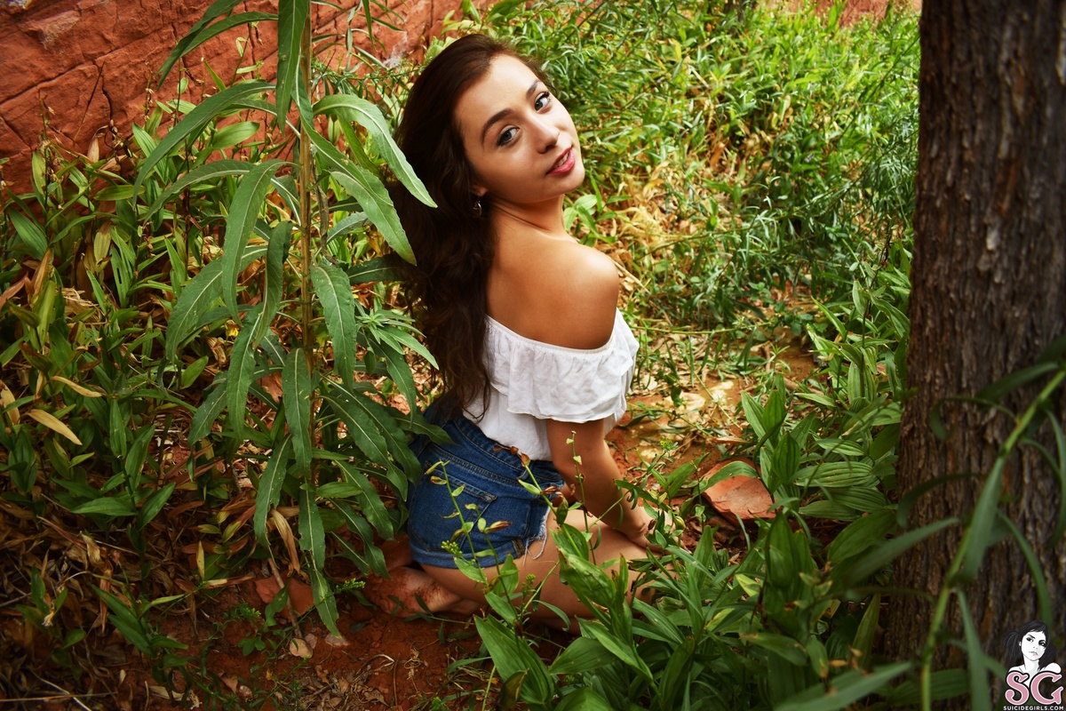 humanbeandee-latesummer-07.jpg