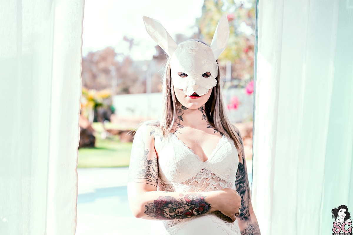 avelar-domesticrabbit-03.jpg