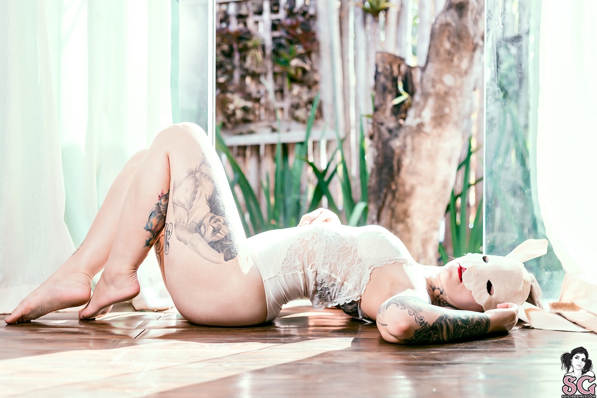 avelar-domesticrabbit-21.jpg