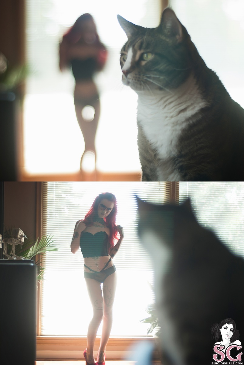 dizziemisslizzie-ollie-13.jpg