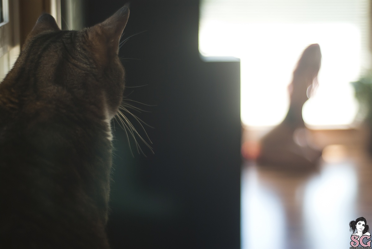 dizziemisslizzie-ollie-21.jpg