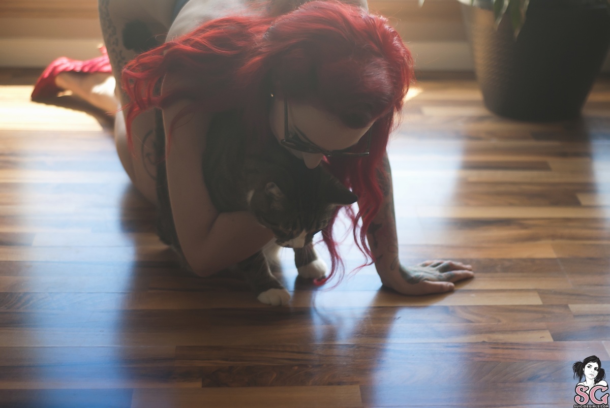 dizziemisslizzie-ollie-23.jpg