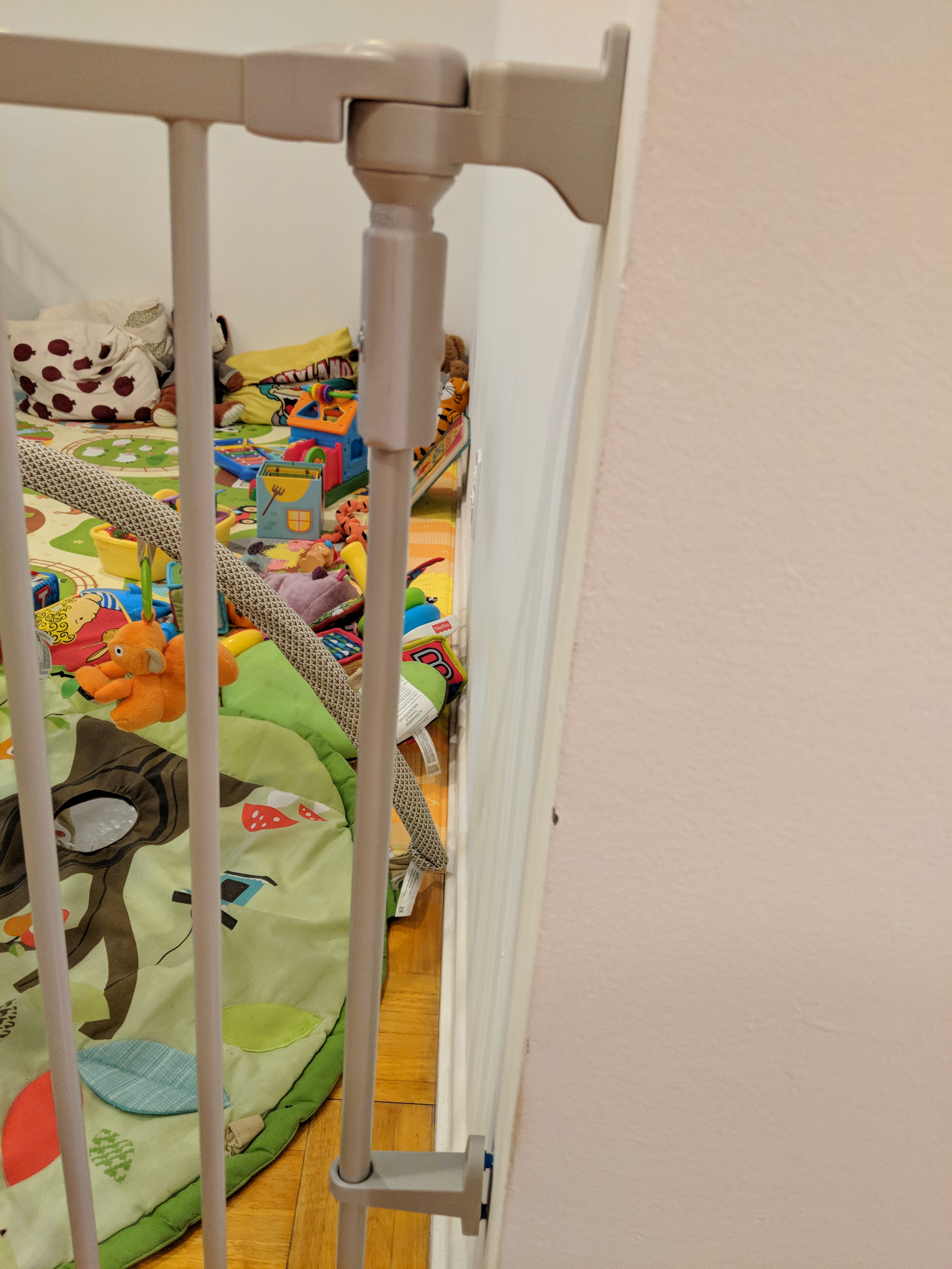 MVIMG_20180203_164810.jpg