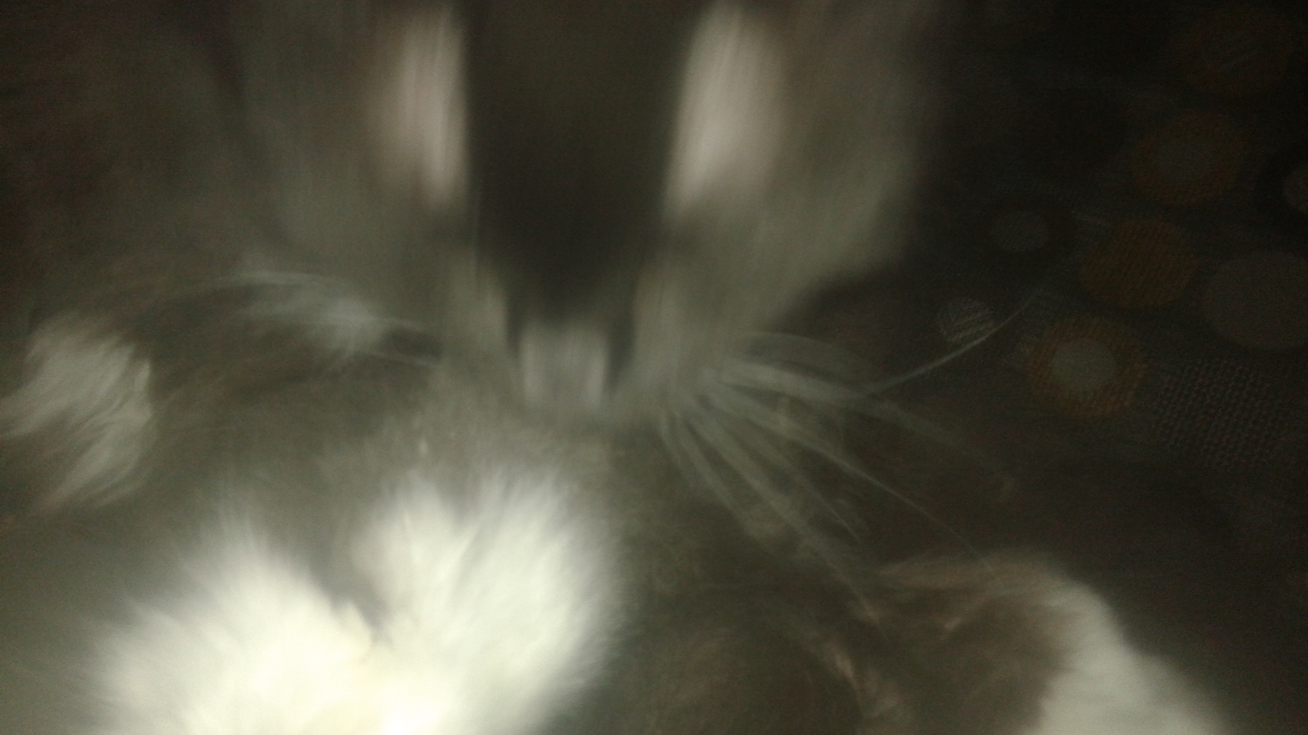 20180205_163839.jpg