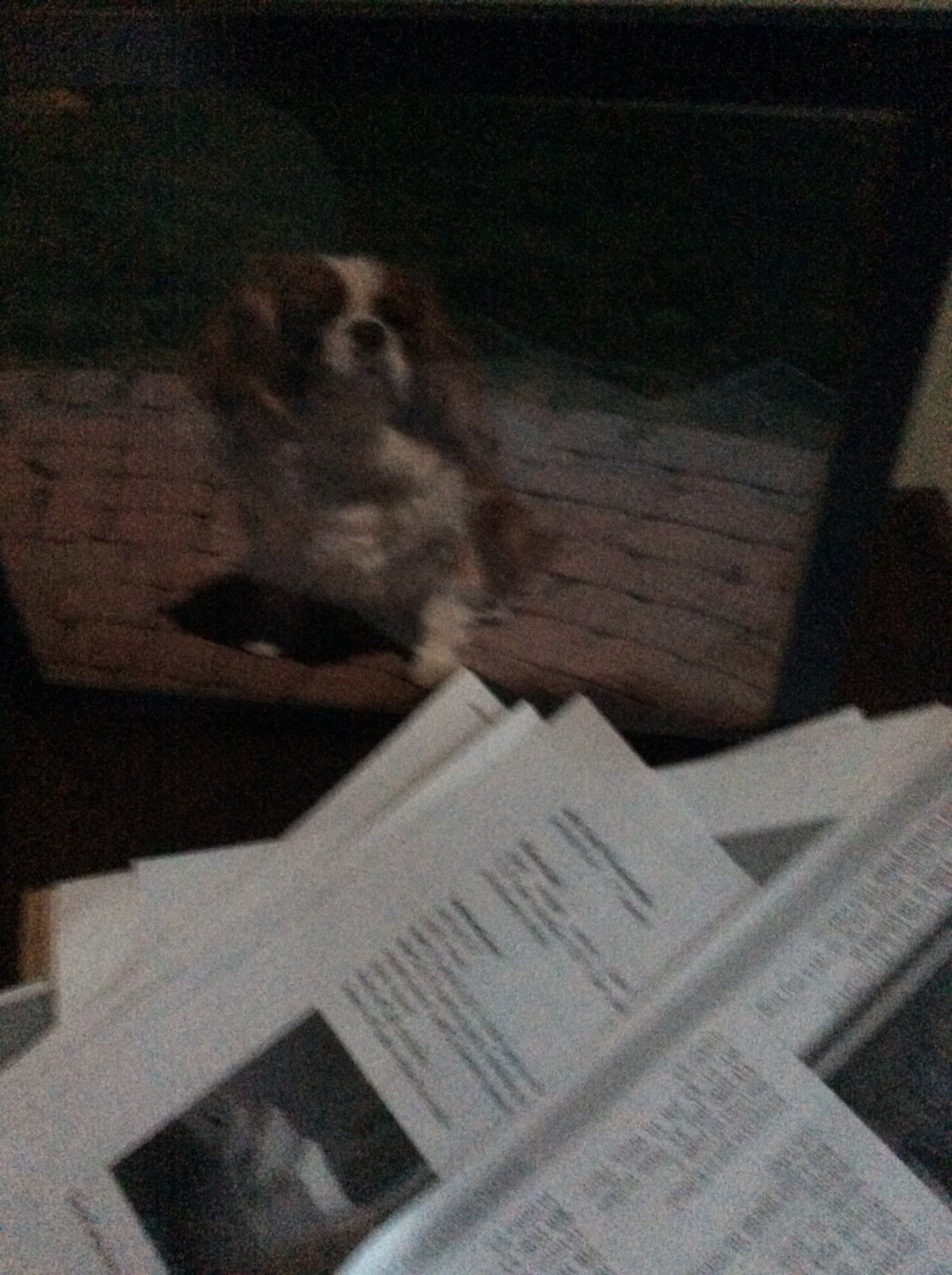 file.jpg