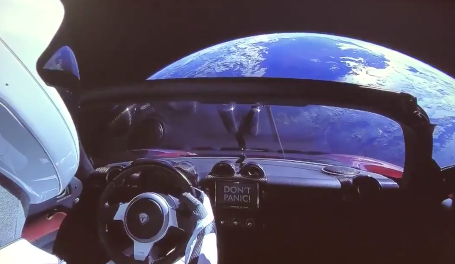 elonDontPanic.png
