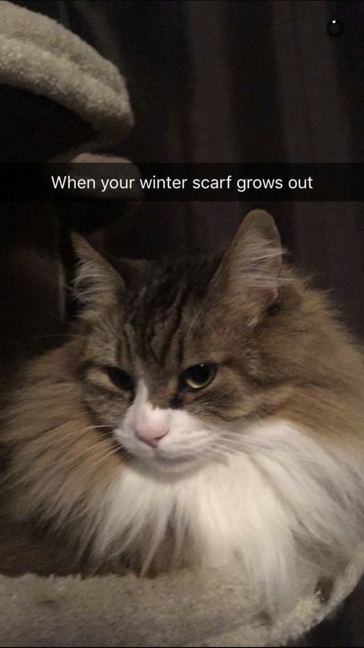 file.jpg
