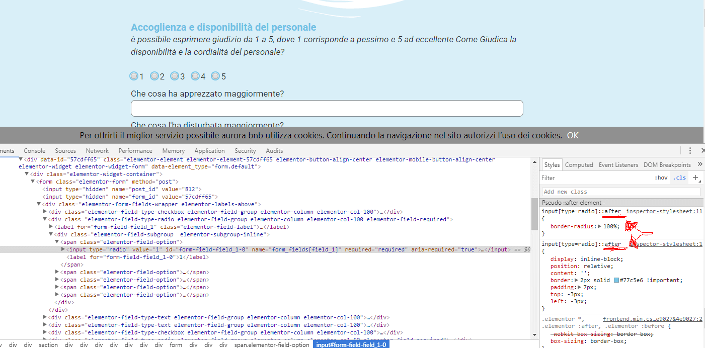 Round Radio Buttons Border