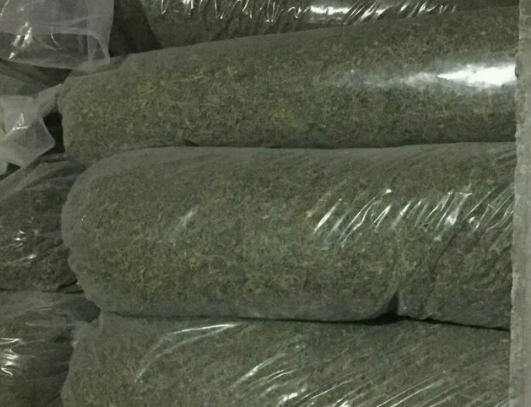 cannaplantpack.png